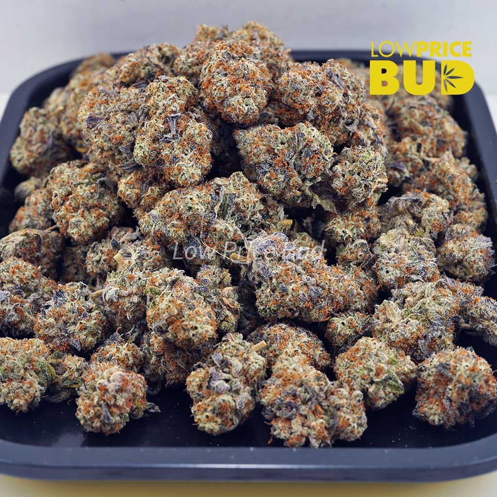Khalifa Kush (AAAA) Buy Khalifa Kush (AAAA) online Canada