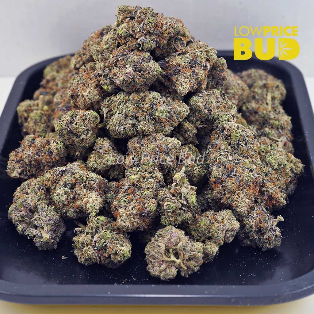 OG Octane (Craft Cannabis) Buy OG Octane (Craft Cannabis) online Canada