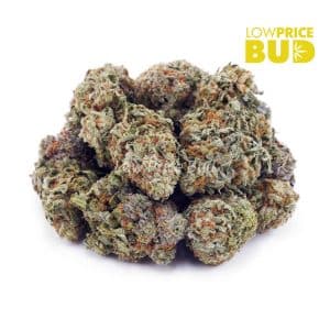 Buy Gorilla Glue #3 (AA) online Canada