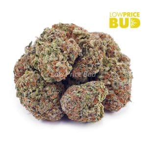 Buy Afghan Skunk (AAA) online Canada