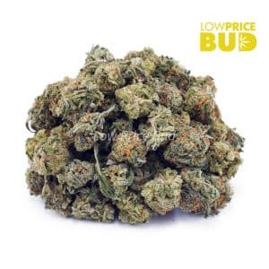 Buy Candy Kush (AAAA) – Popcorn Nugs online Canada