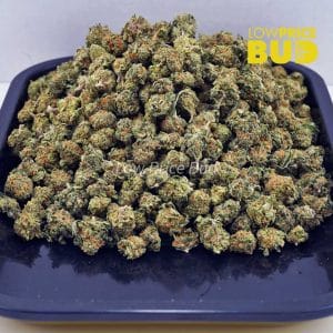 Buy Candy Kush (AAAA) – Popcorn Nugs online Canada