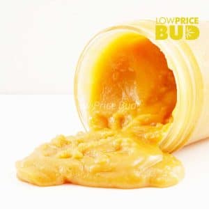 Buy Live Resin – Pink Rockstar online Canada