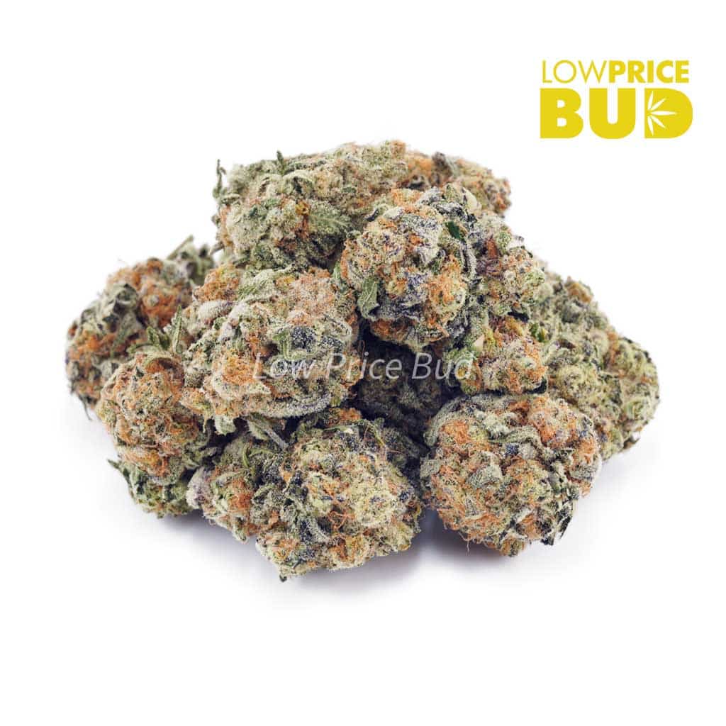Snowman OG(AA) Buy Snowman OG(AA) online Canada