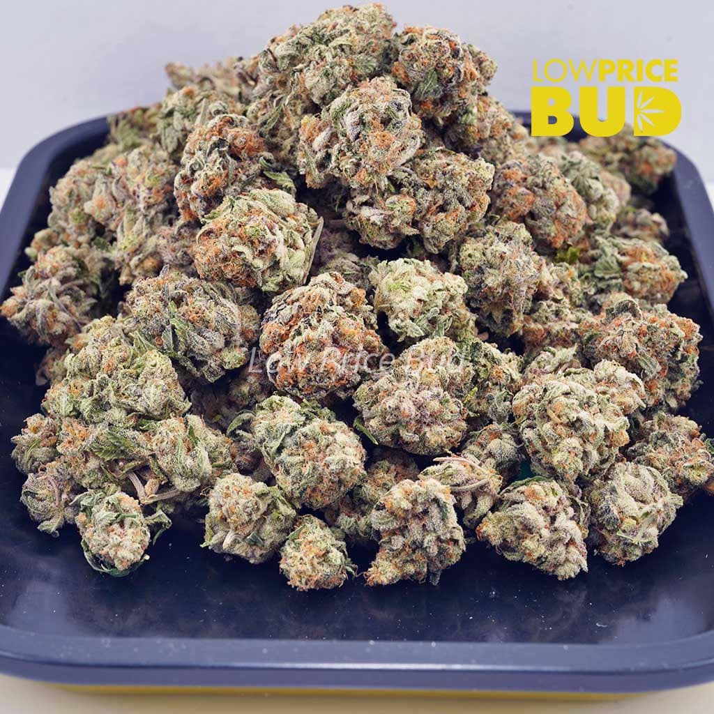 Snowman OG(AA) Buy Snowman OG(AA) online Canada
