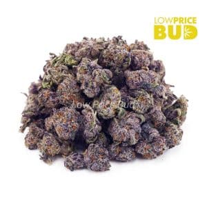 Buy Dark Star (AAAA) – Popcorn Nugs online Canada
