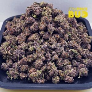 Buy Dark Star (AAAA) – Popcorn Nugs online Canada
