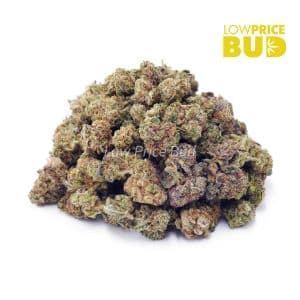 Buy Cosmic Cookies(AAAA) – Popcorn Nugs online Canada