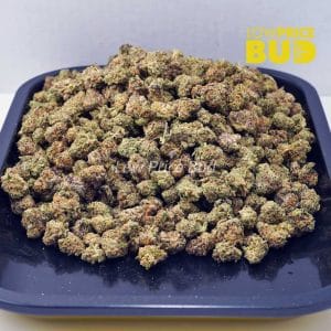 Buy Cosmic Cookies(AAAA) – Popcorn Nugs online Canada
