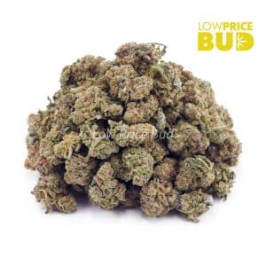 White Rhino (AAAA) – Popcorn Nugs Buy White Rhino (AAAA) – Popcorn Nugs online Canada
