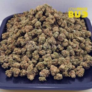 Buy White Rhino (AAAA) – Popcorn Nugs online Canada