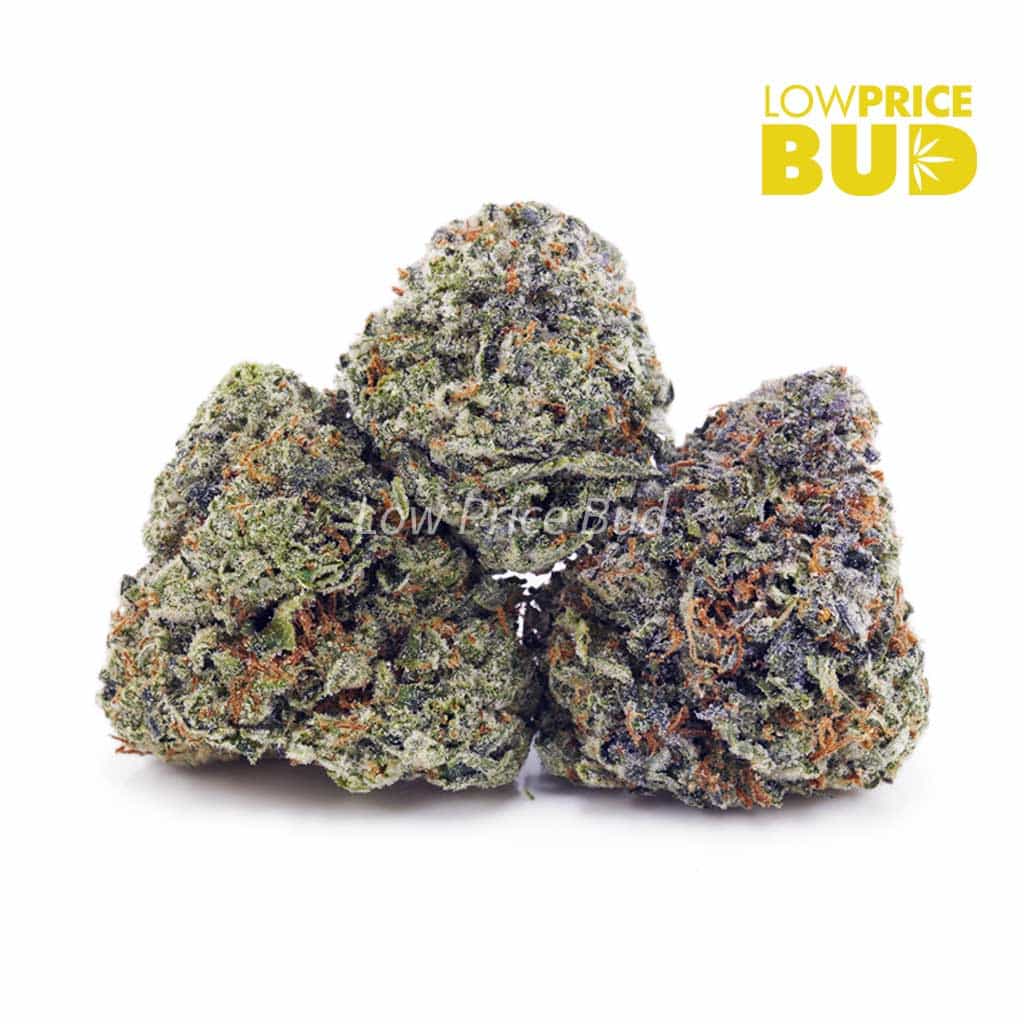 Rockstar (AAA) Buy Rockstar (AAA) online Canada