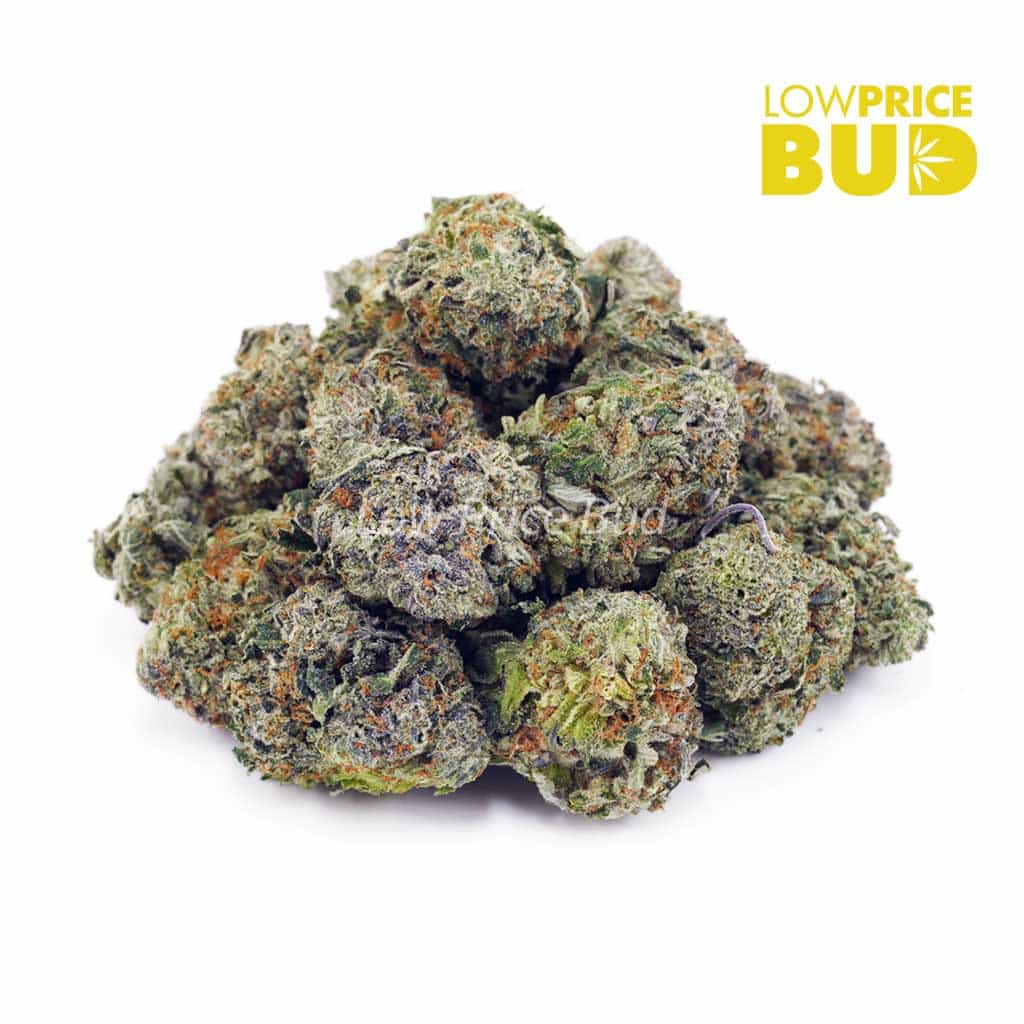 Rockstar (AAA) Buy Rockstar (AAA) online Canada