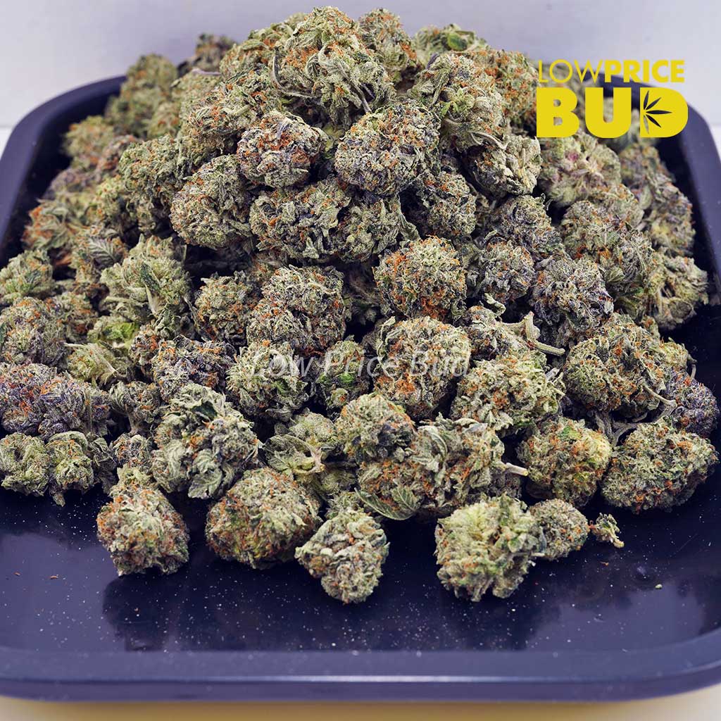 Rockstar (AAA) Buy Rockstar (AAA) online Canada