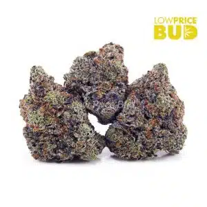 Buy Pink Gas Mask (Craft Cannabis) online Canada