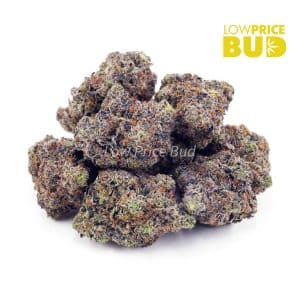 Pink Gas Mask (Craft Cannabis) Buy Pink Gas Mask (Craft Cannabis) online Canada