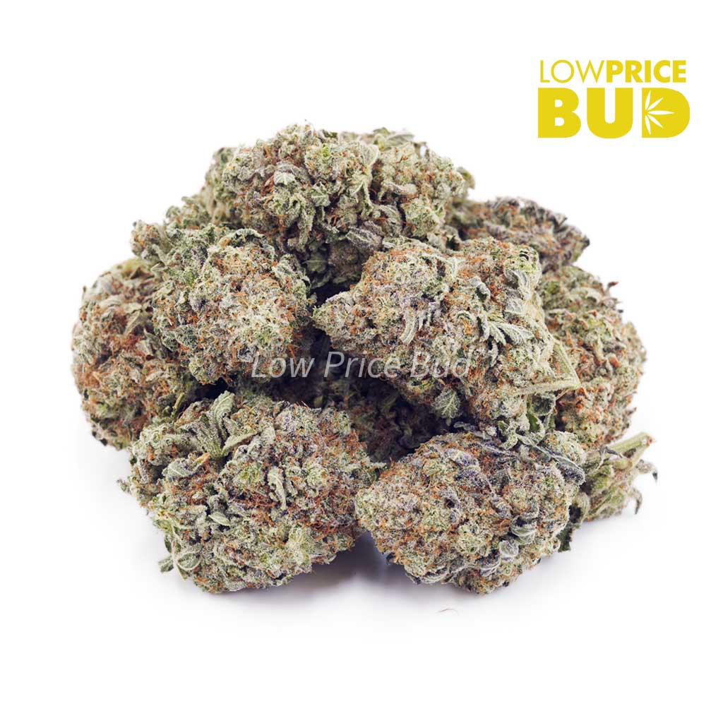 Afghan Kush (AA) Buy Afghan Kush (AA) online Canada