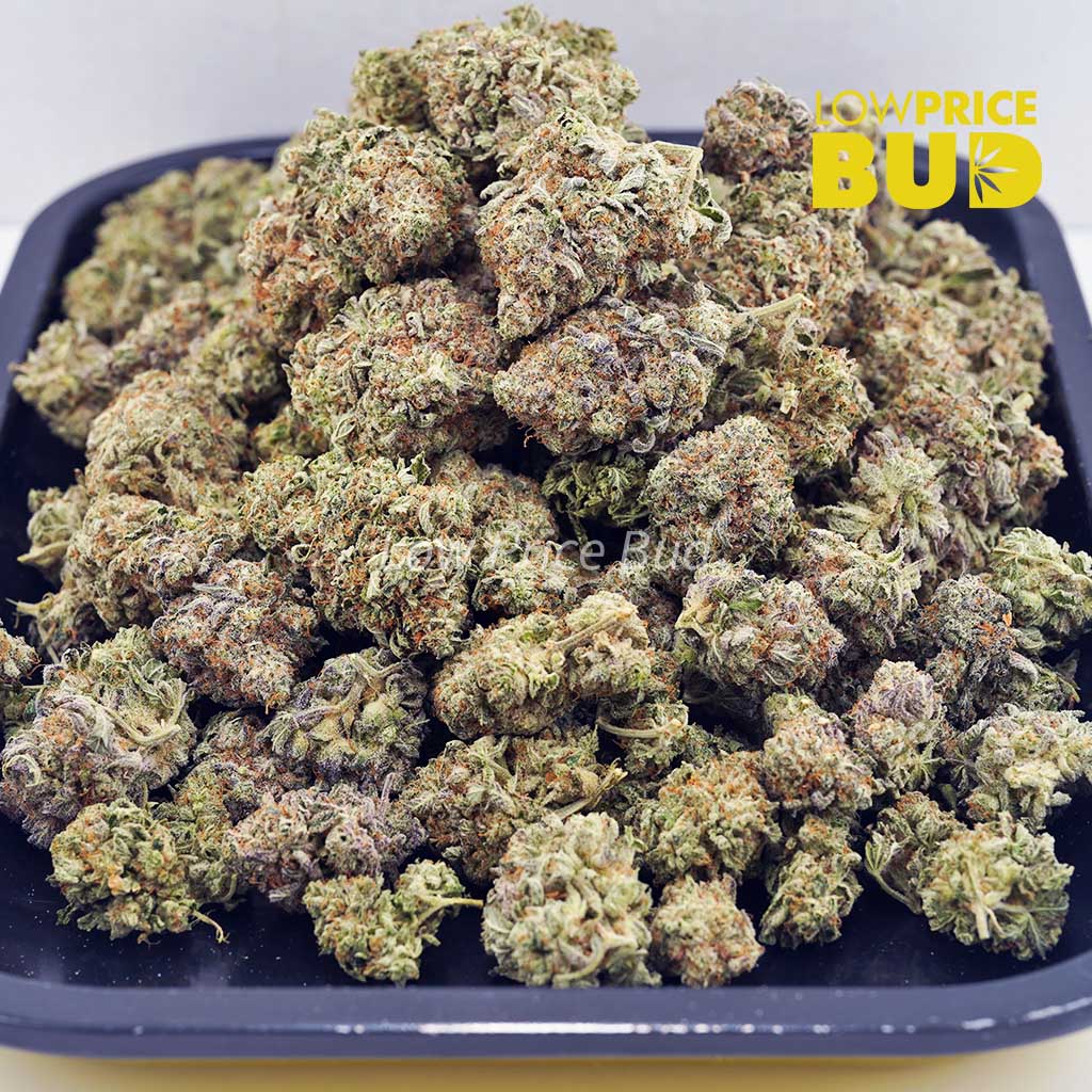 Afghan Kush (AA) Buy Afghan Kush (AA) online Canada
