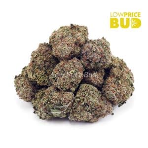 Fire OG (AA) Buy Fire OG (AA) online Canada