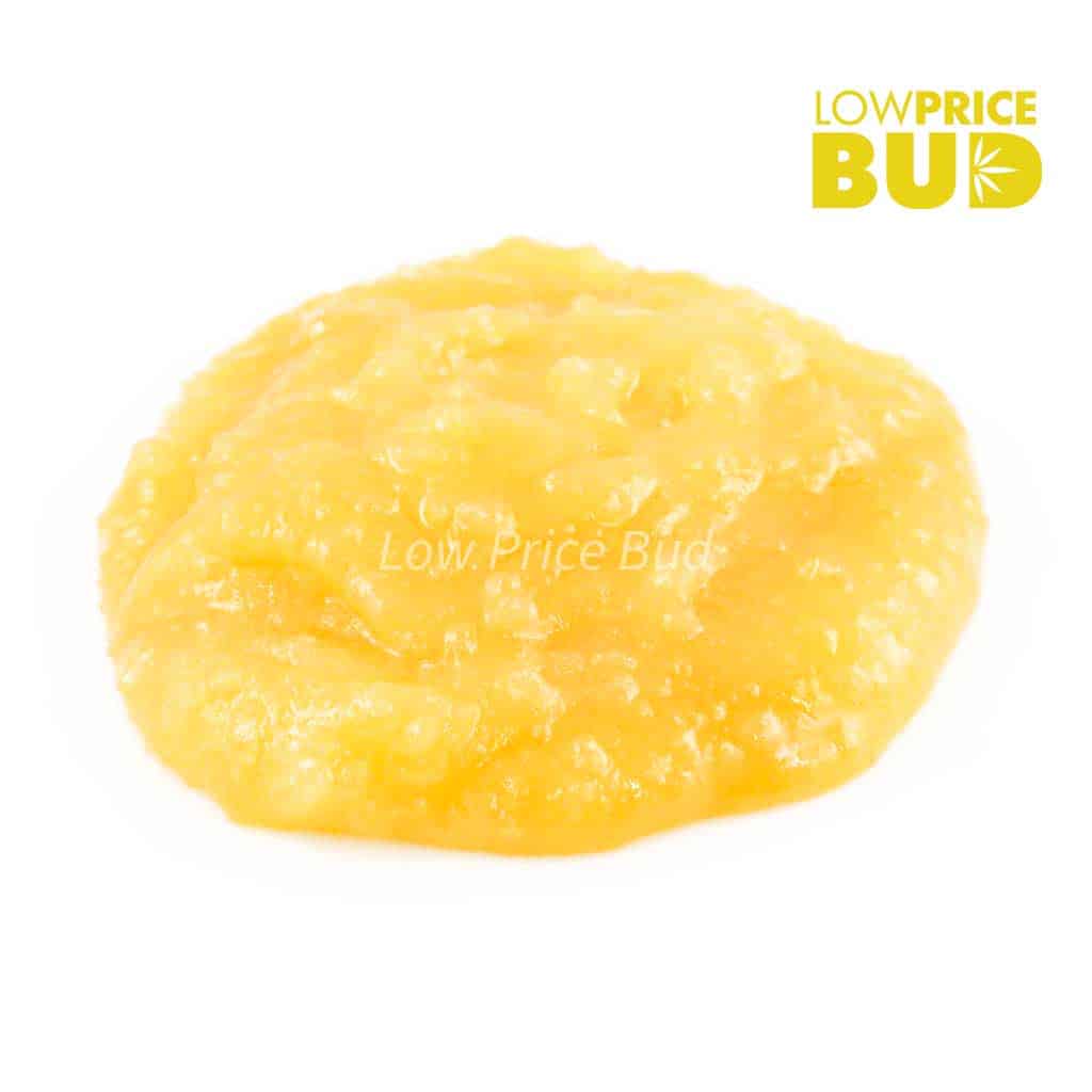 Caviar – Super Haze Buy Caviar – Super Haze online Canada