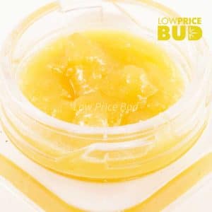 Buy Caviar – Super Haze online Canada