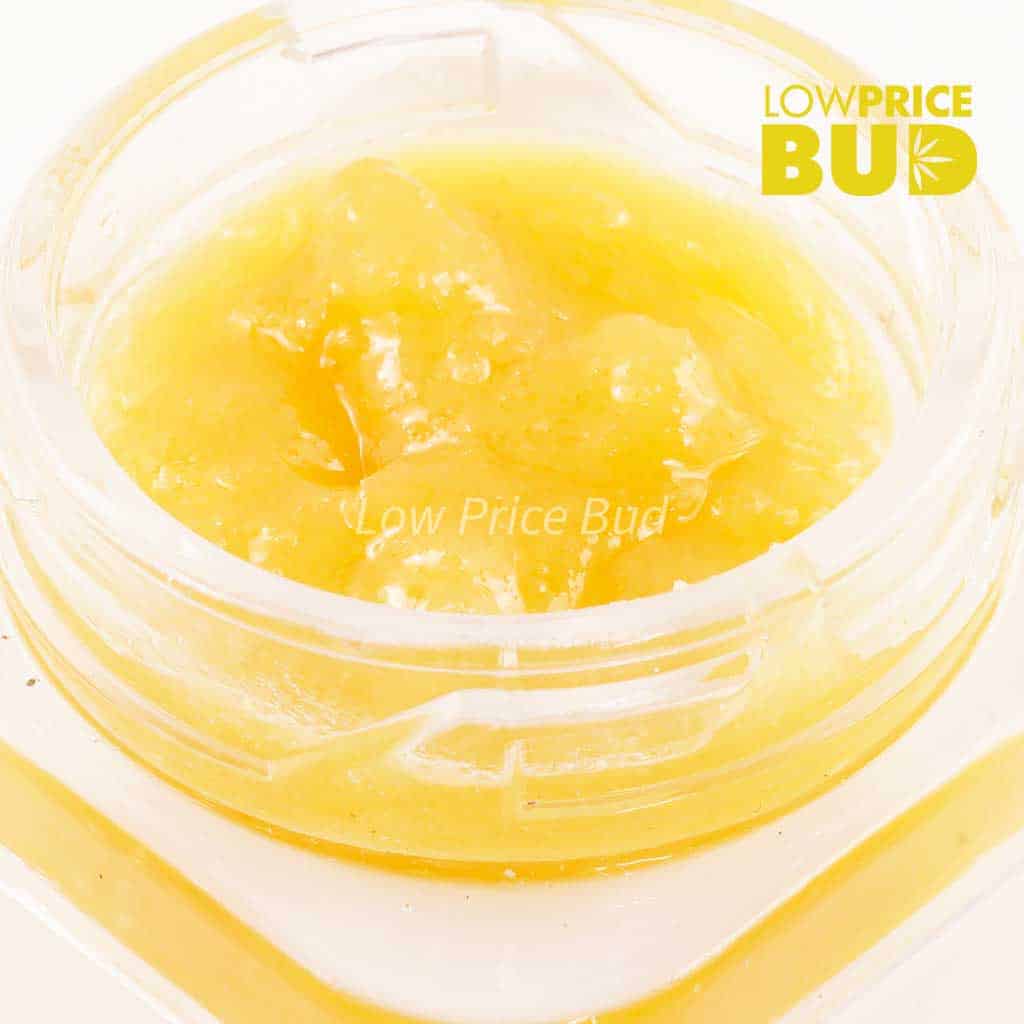 Caviar – Super Haze Buy Caviar – Super Haze online Canada