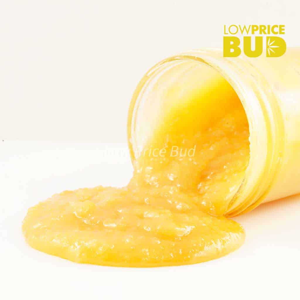 Caviar – Super Haze Buy Caviar – Super Haze online Canada
