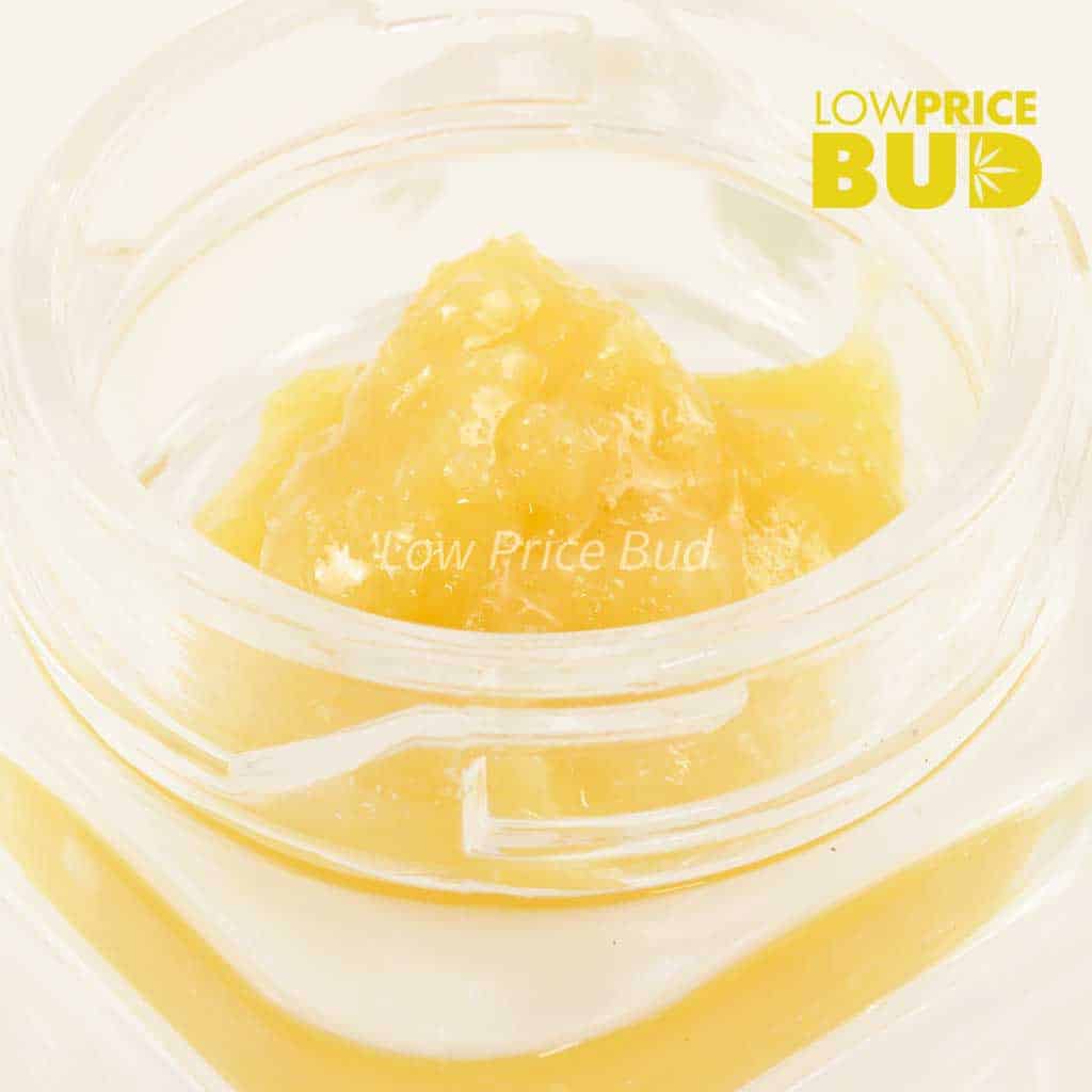 Live Resin – Platinum Pink Buy Live Resin – Platinum Pink online Canada