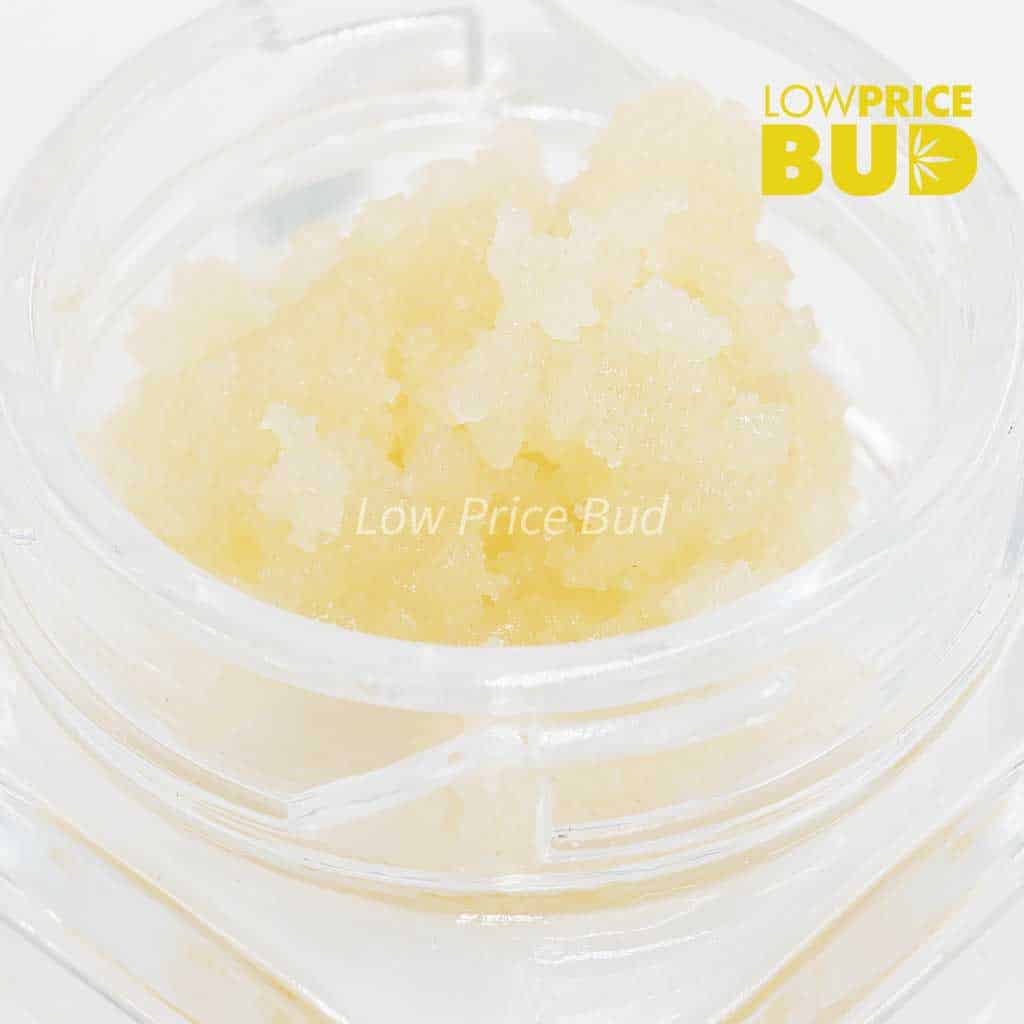 Caviar – Cookie Monster Buy Caviar – Cookie Monster online Canada