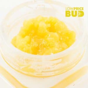 Buy Caviar – Mike Tyson online Canada