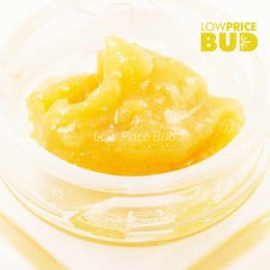 Buy Caviar – Pink Death Star online Canada