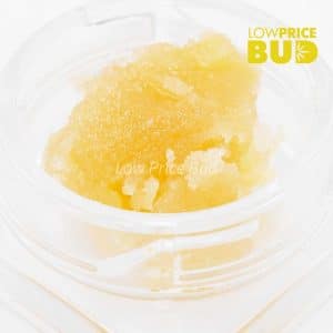 Buy Caviar – Pink Ice Cream Cake online Canada