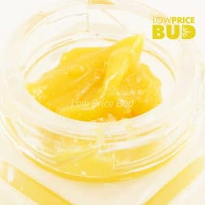 Caviar – Shiva Skunk Buy Caviar – Shiva Skunk online Canada