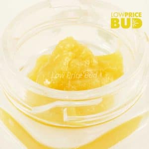 Buy Caviar – Super Silver Haze online Canada