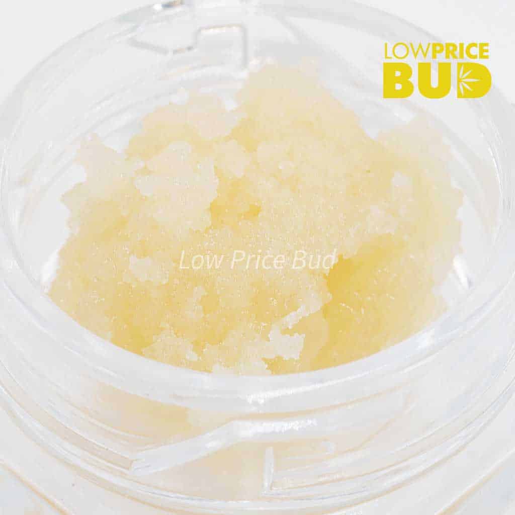 Caviar – Tahoe OG Buy Caviar – Tahoe OG online Canada