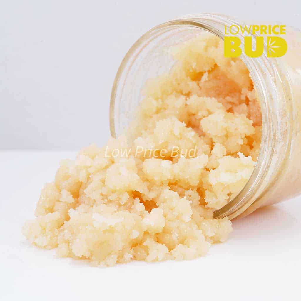 Caviar – Cookie Monster Buy Caviar – Cookie Monster online Canada