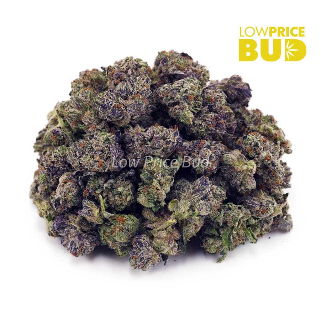 Platinum Blueberry (AAAA) – Popcorn Nugs Buy Platinum Blueberry (AAAA) – Popcorn Nugs online Canada