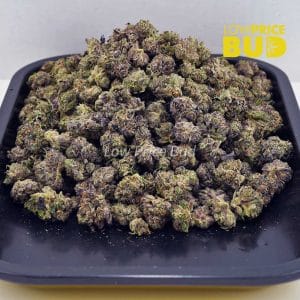 Buy Platinum Blueberry (AAAA) – Popcorn Nugs online Canada