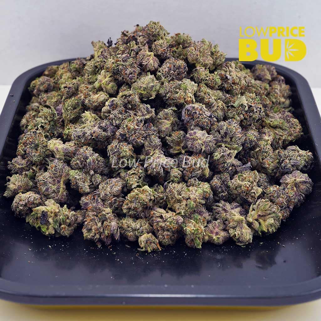 Platinum Blueberry (AAAA) – Popcorn Nugs Buy Platinum Blueberry (AAAA) – Popcorn Nugs online Canada