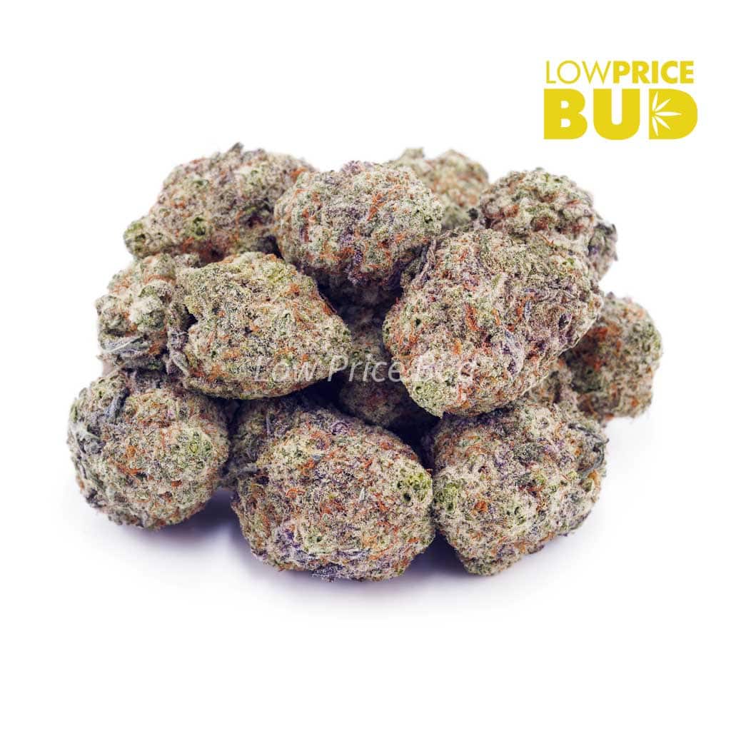 Dragonfruit Gelato (Craft Cannabis) Buy Dragonfruit Gelato (Craft Cannabis) online Canada