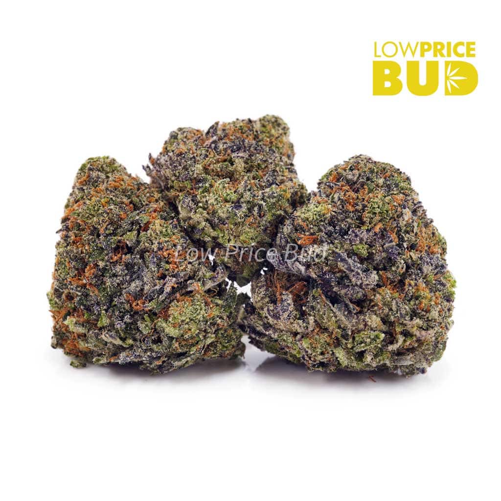 Blueberry Breath (AAAA) Buy Blueberry Breath (AAAA) online Canada
