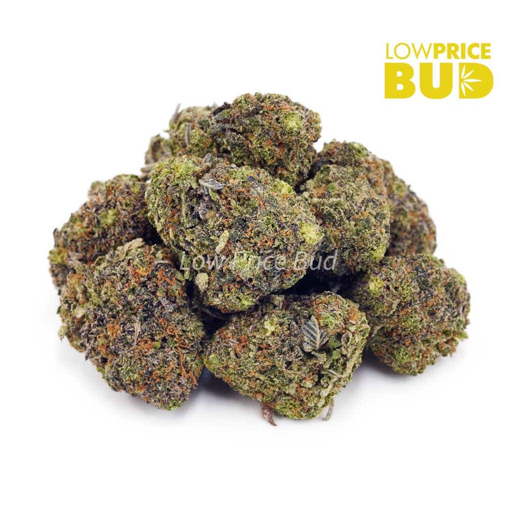 Blueberry Breath (AAAA) Buy Blueberry Breath (AAAA) online Canada