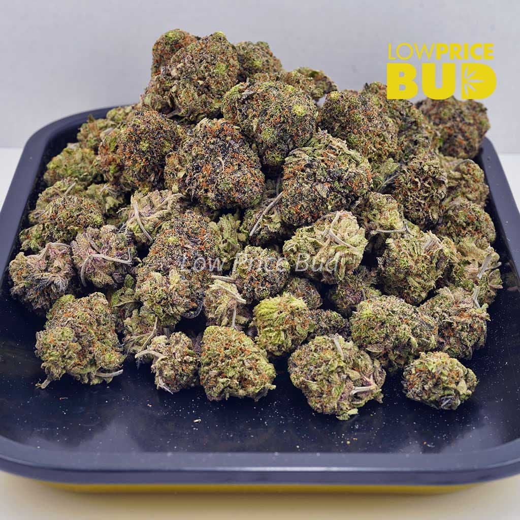 Blueberry Breath (AAAA) Buy Blueberry Breath (AAAA) online Canada