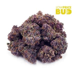 Purple Afghani Kush (AAA) Buy Purple Afghani Kush (AAA) online Canada