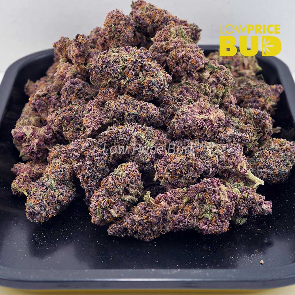 Purple Afghani Kush (AAA) Buy Purple Afghani Kush (AAA) online Canada