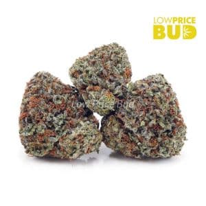 Gorilla Glue #2 (AAAA) Buy Gorilla Glue #2 (AAAA) online Canada