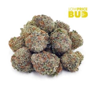Gorilla Glue #2 (AAAA) Buy Gorilla Glue #2 (AAAA) online Canada