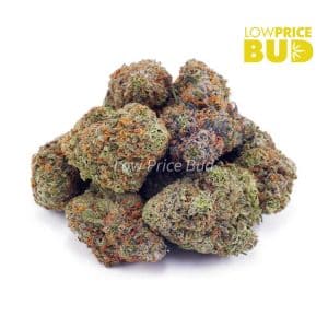 Juicy Fruit (AA) Buy Juicy Fruit (AA) online Canada