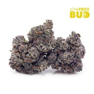Buy Build Your Own (AAAA) Half Pound online Canada
