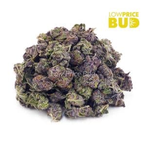 Buy Black Cherry Punch (AAAA) – Popcorn Nugs online Canada